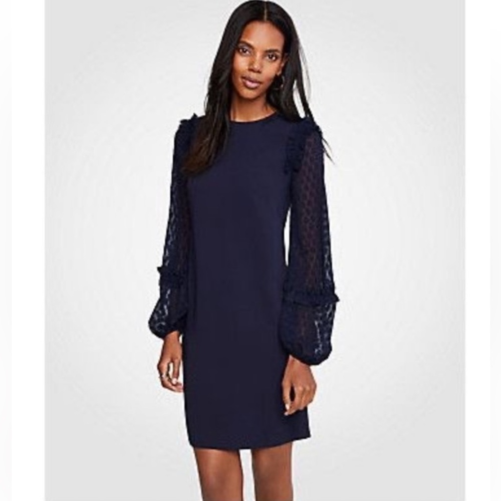 Size 4 Ann Taylor Knee Length Shift Dress - Sheer Polka Dot Sleeves Navy Blue